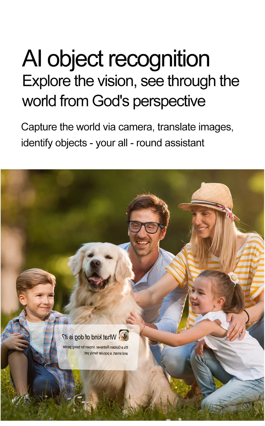 AI Smart Glasses With 5MP Camera Translation Voice Control WIFI Transmission Bluetooth Call Music Playback Intelligent Glasses