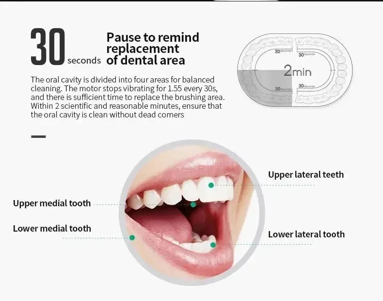 Electric Ultrasonic Toothbrush Six Speed Mode Home Soft Hair USB Charging Waterproof Adult Tooth Cleaner Automatic Couple Set